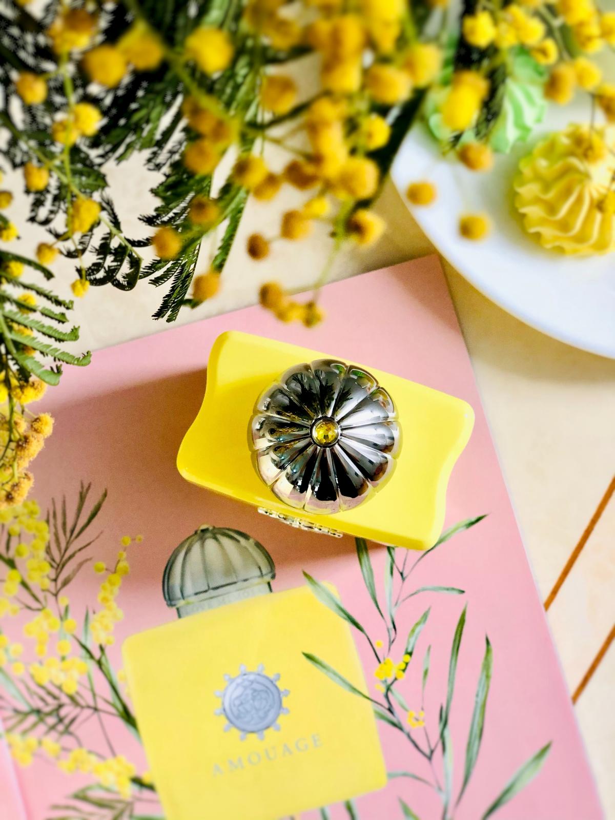 Love Mimosa - Amouage - Gallery 1