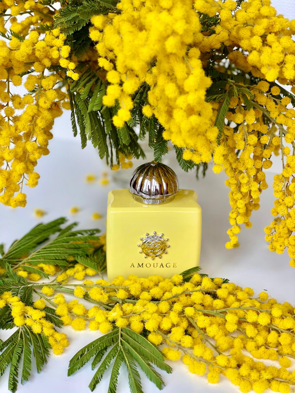 Love Mimosa - Amouage - Gallery 3