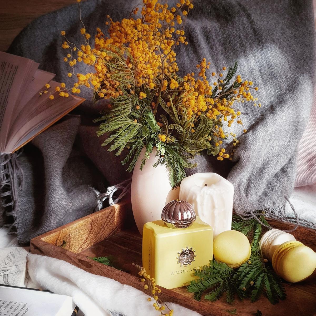 Love Mimosa - Amouage - Gallery 4