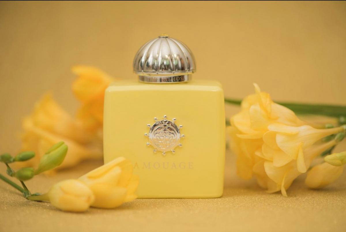 Love Mimosa - Amouage - Gallery 2