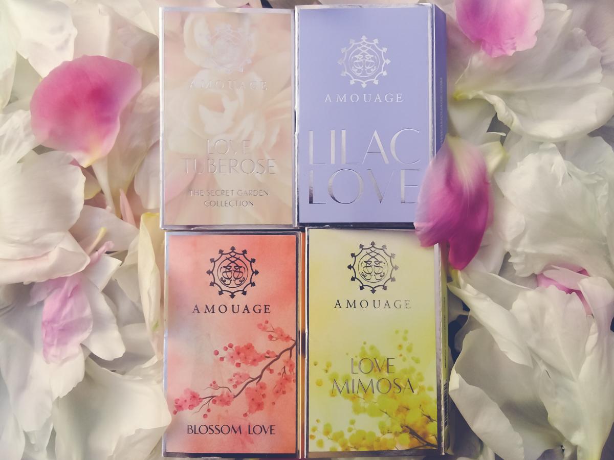 Love Mimosa - Amouage - Gallery 3