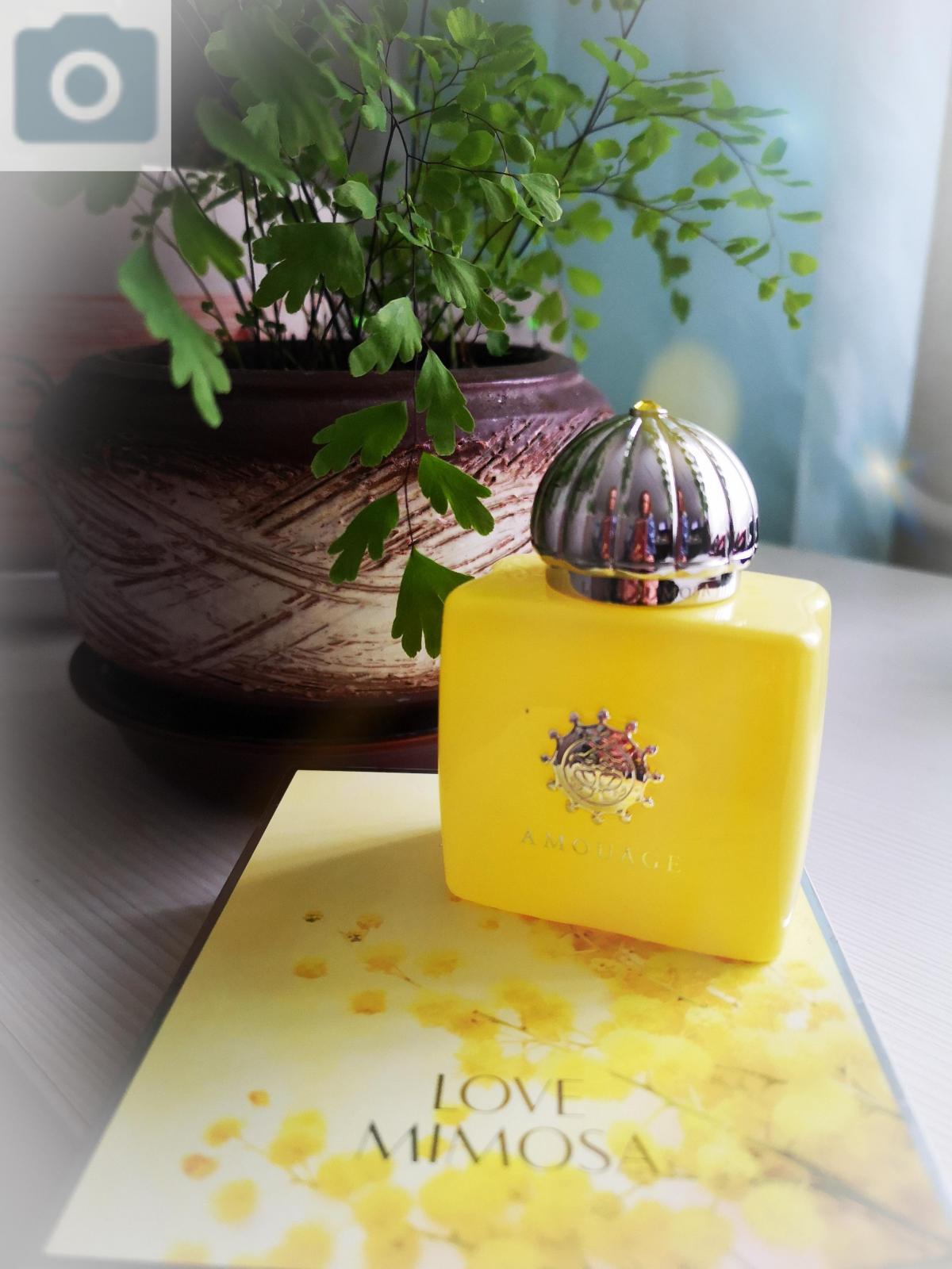 Love Mimosa - Amouage - Gallery 1