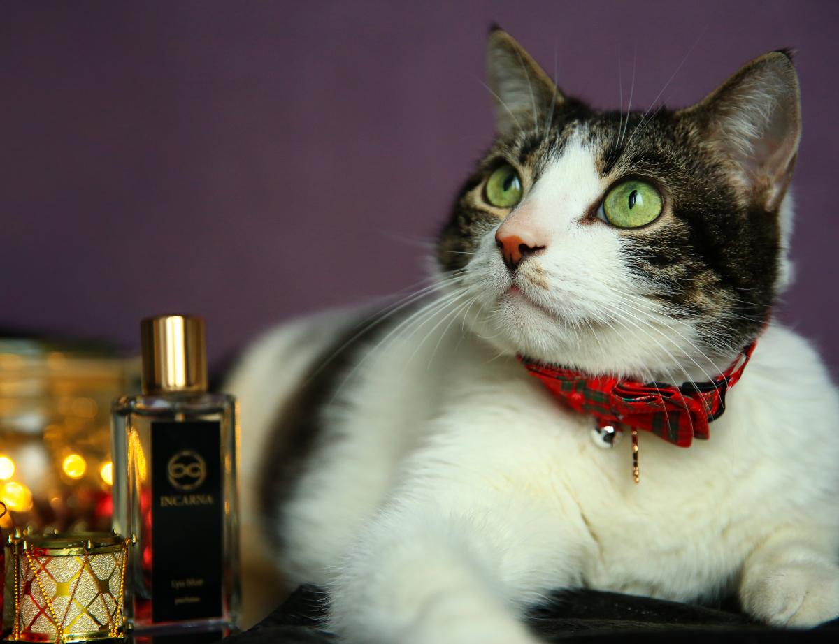Lyu blue - Incarna parfums - Gallery 1