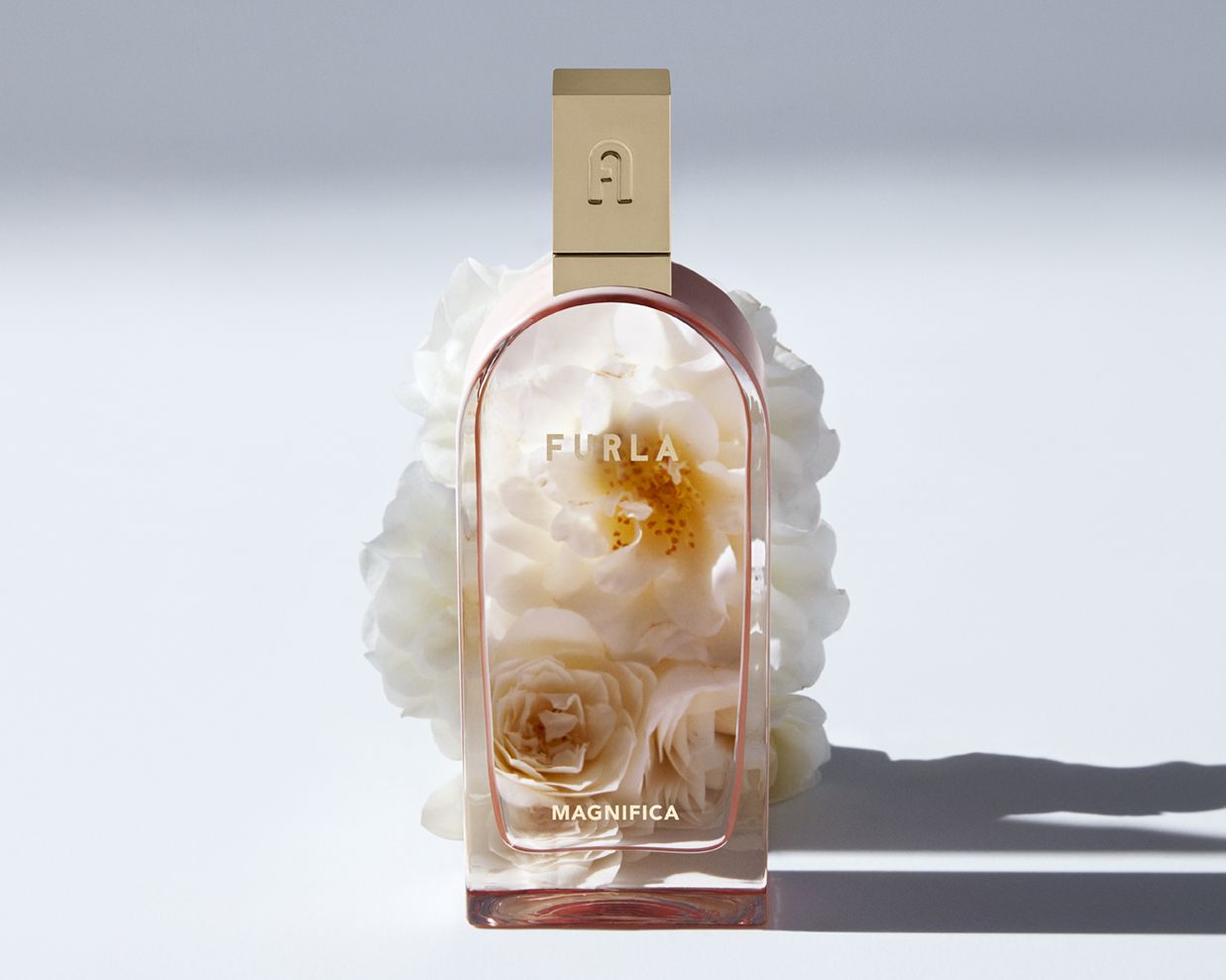 Magnifica - Furla - Gallery 2
