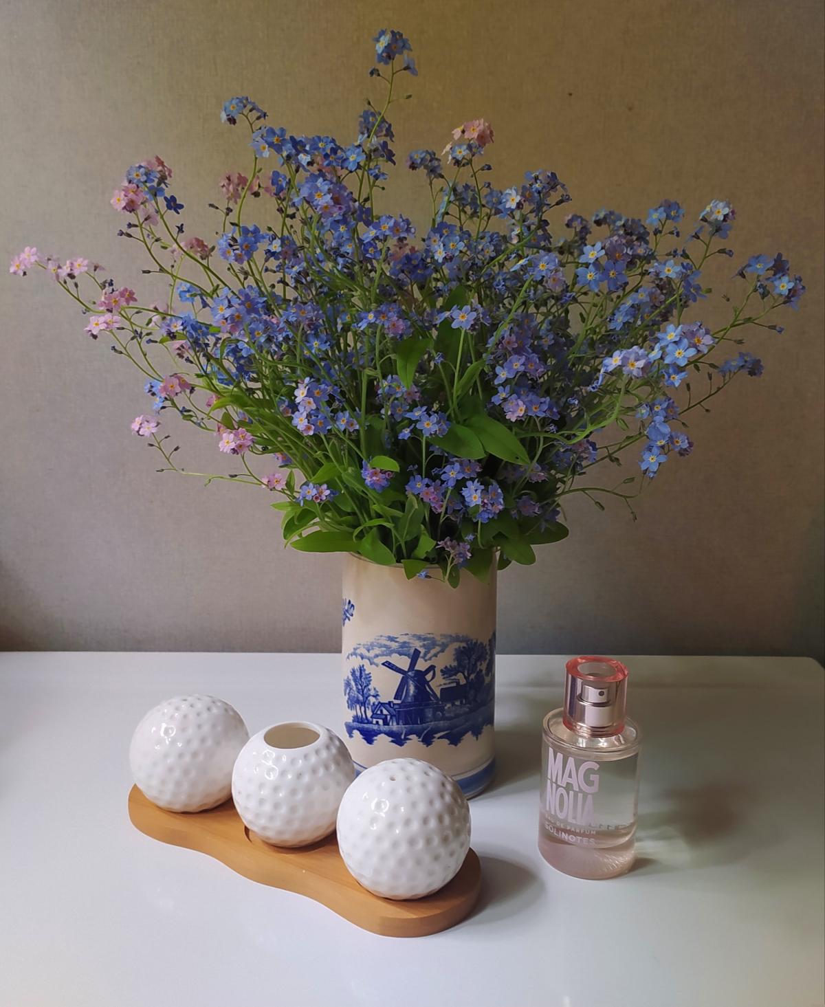 Magnolia - Solinotes - Gallery 1