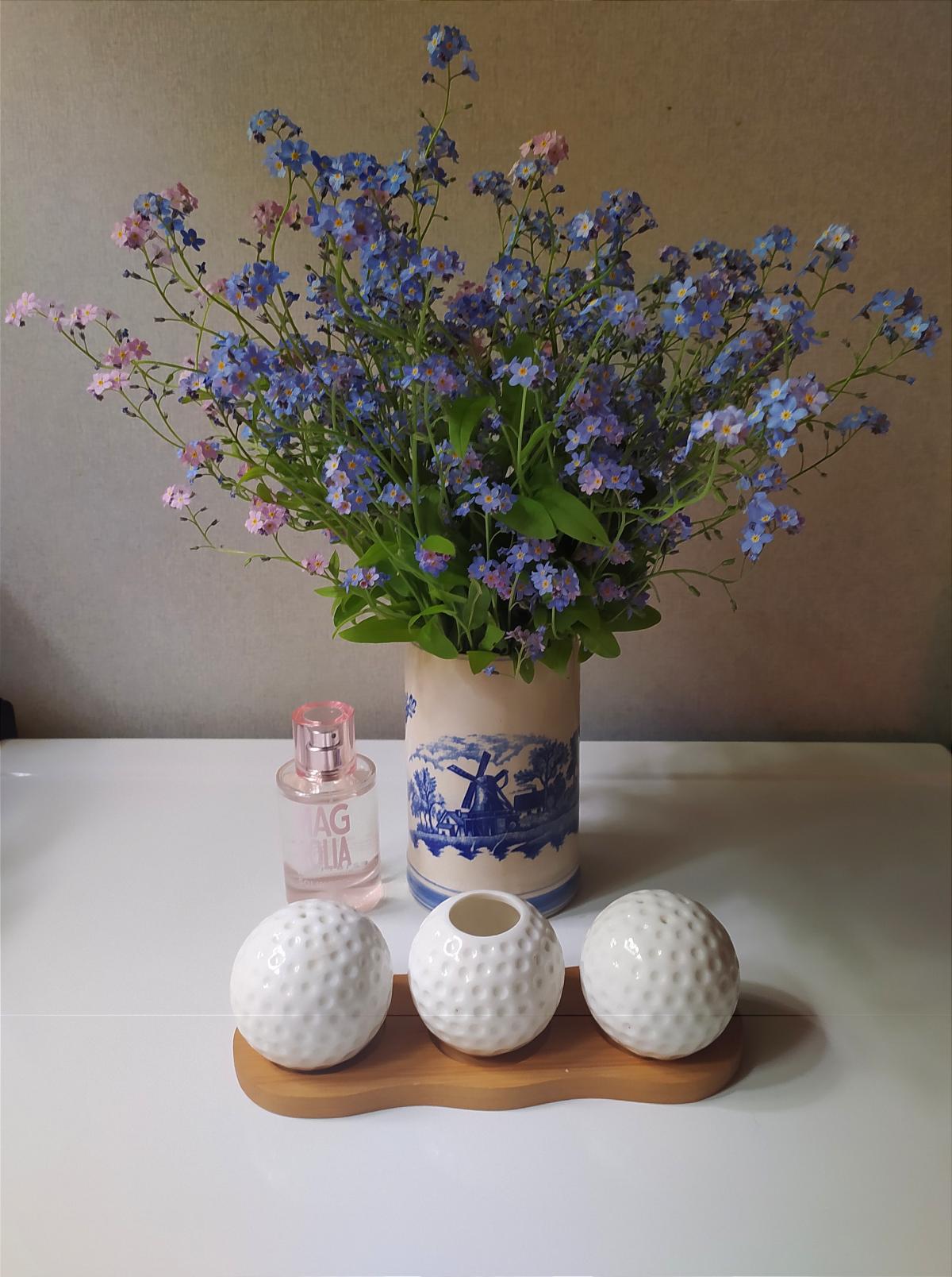 Magnolia - Solinotes - Gallery 2