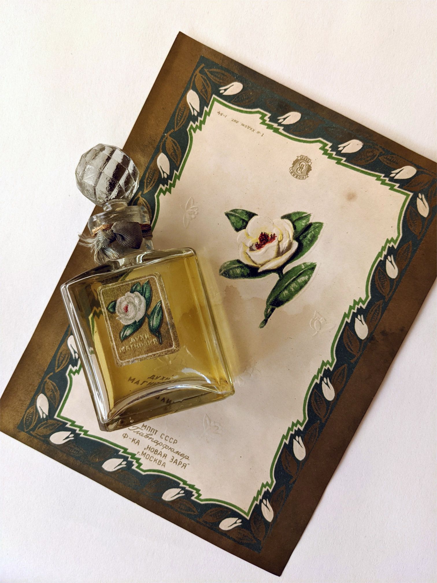 Magnolia – Магнолия - Nouvelle Etoile – Новая Заря - Gallery 1