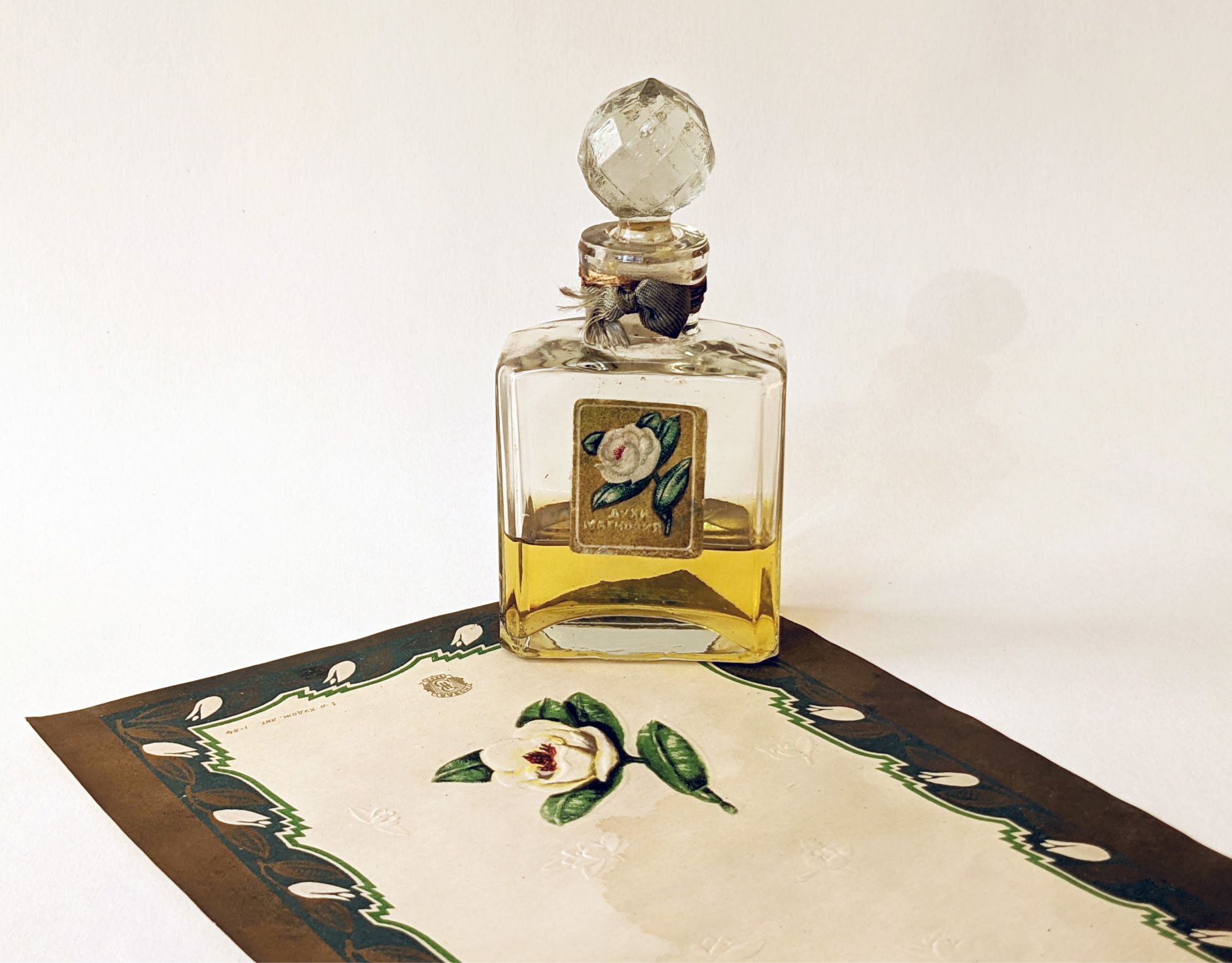 Magnolia – Магнолия - Nouvelle Etoile – Новая Заря - Gallery 2