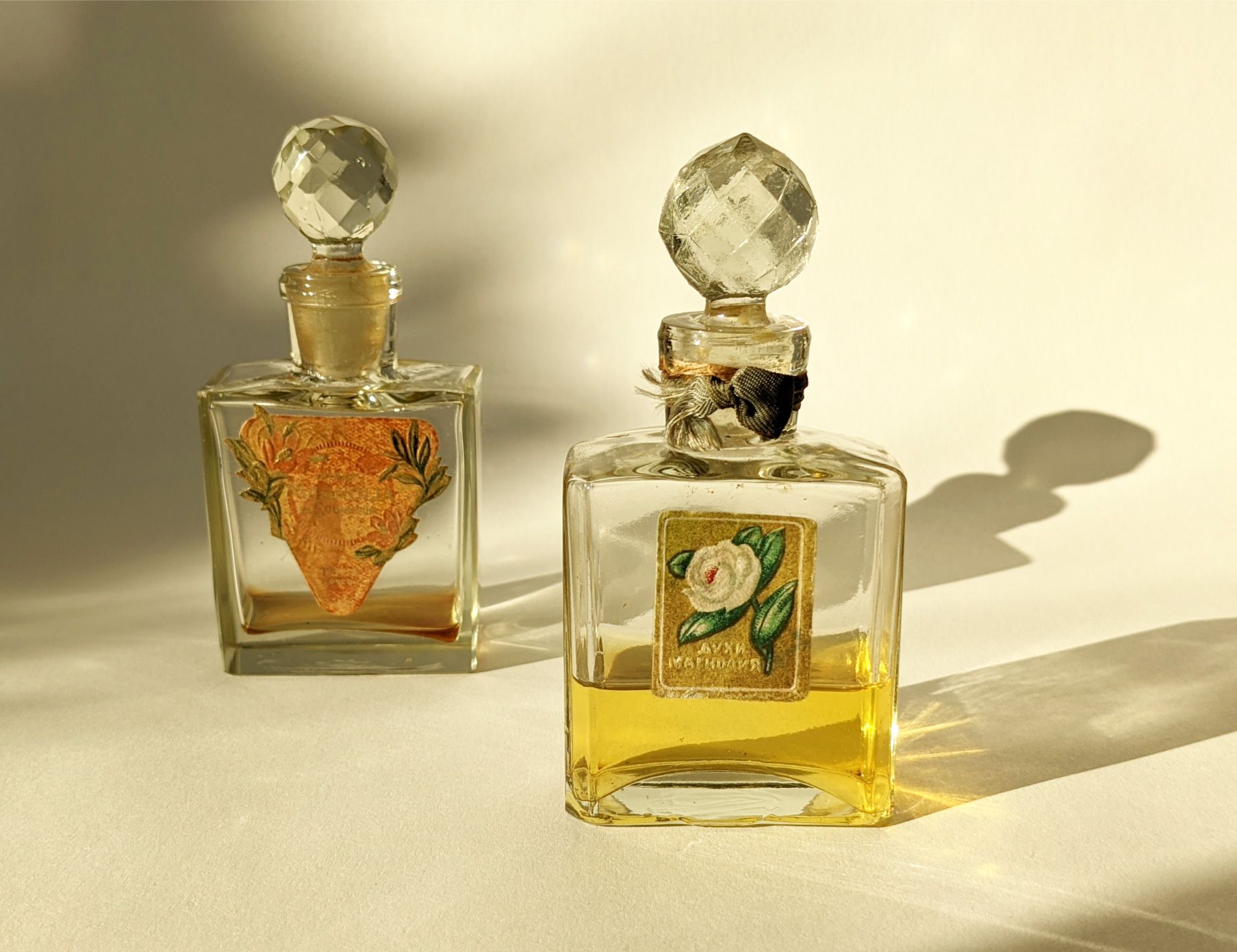 Magnolia – Магнолия - Nouvelle Etoile – Новая Заря - Gallery 3