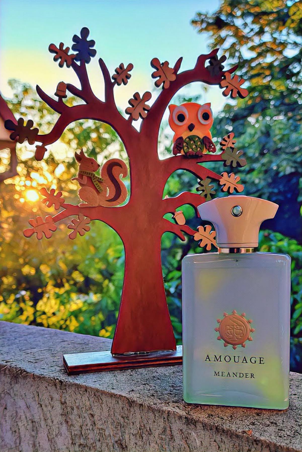 Meander - Amouage - Gallery 2