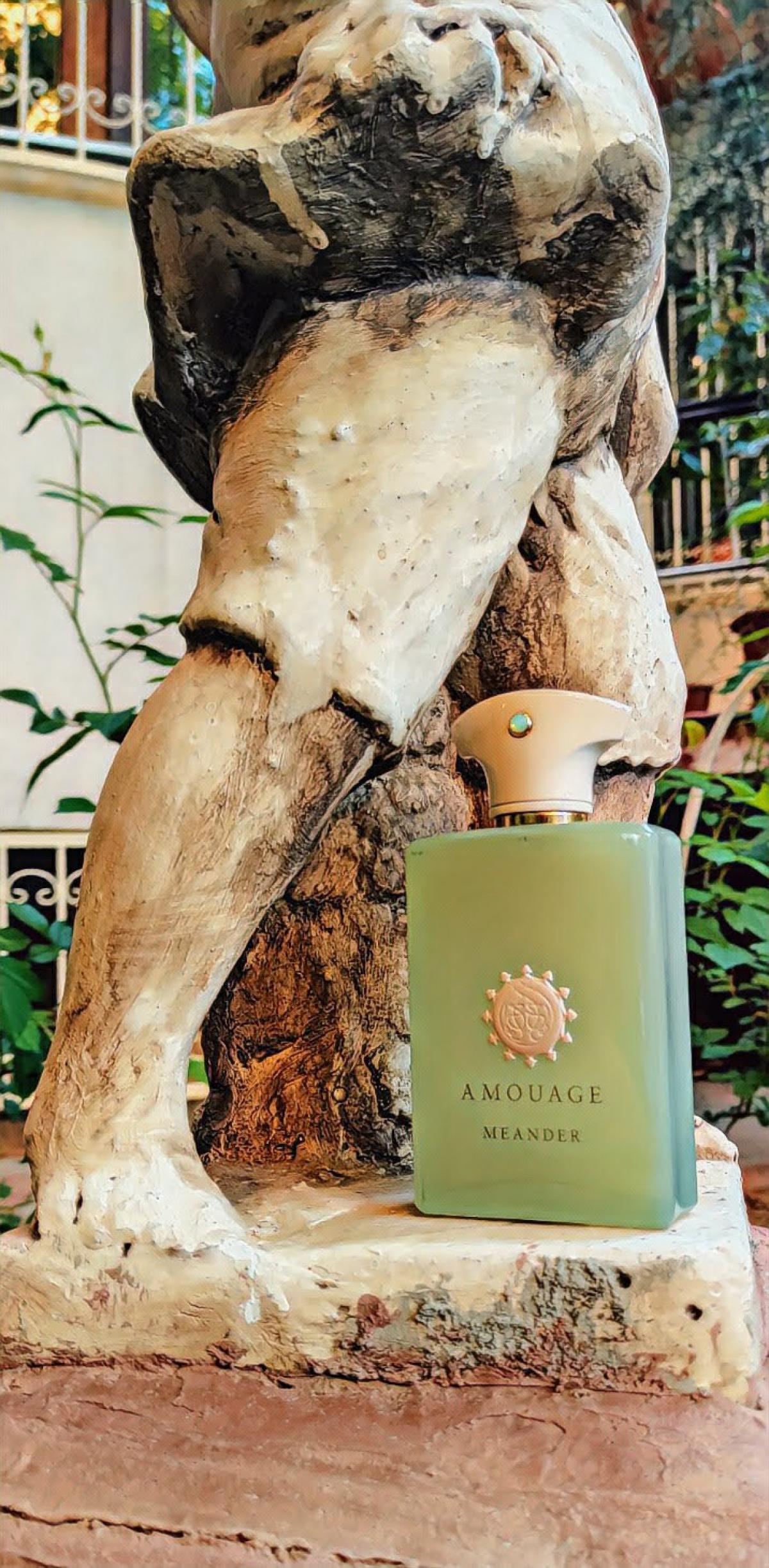 Meander - Amouage - Gallery 3