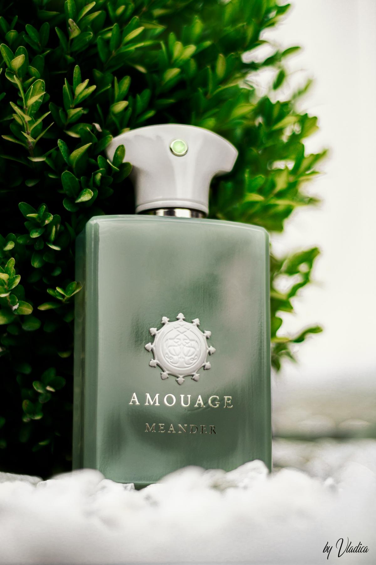 Meander - Amouage - Gallery 3