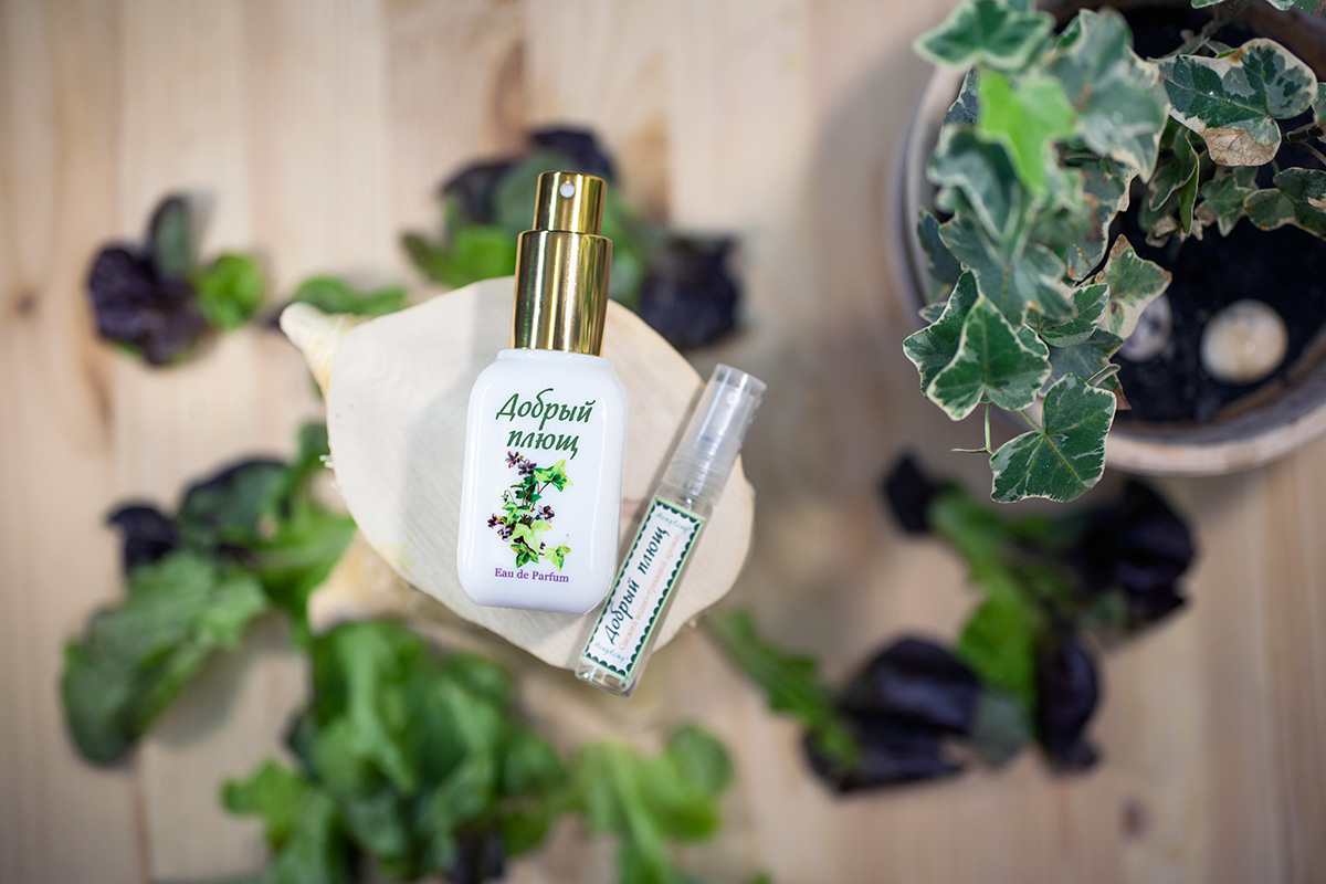 Mild Ivy (Добрый Плющ) - Mazhu Kozhu (Мажу Кожу) - Gallery 1