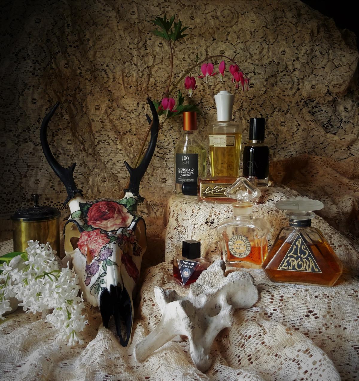 Mimosa & Héliotrope Poudré - 100 Bon - Gallery 2