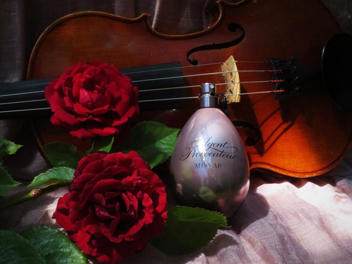 Miss AP - Agent Provocateur - Gallery 2
