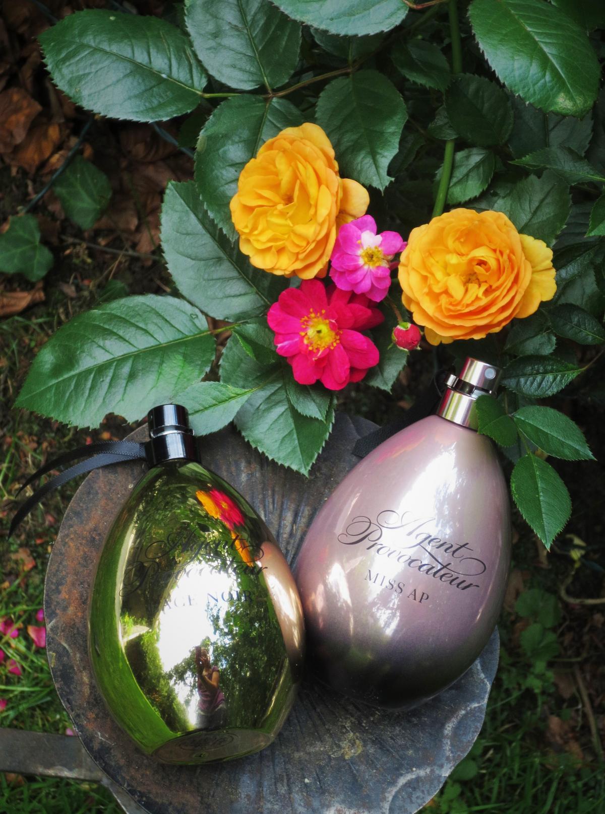 Miss AP - Agent Provocateur - Gallery 3