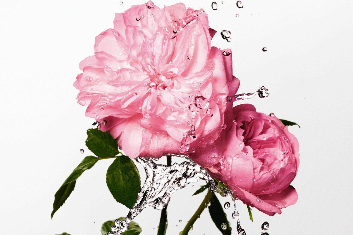 Miss Dior Rose Essence - Dior - Gallery 4