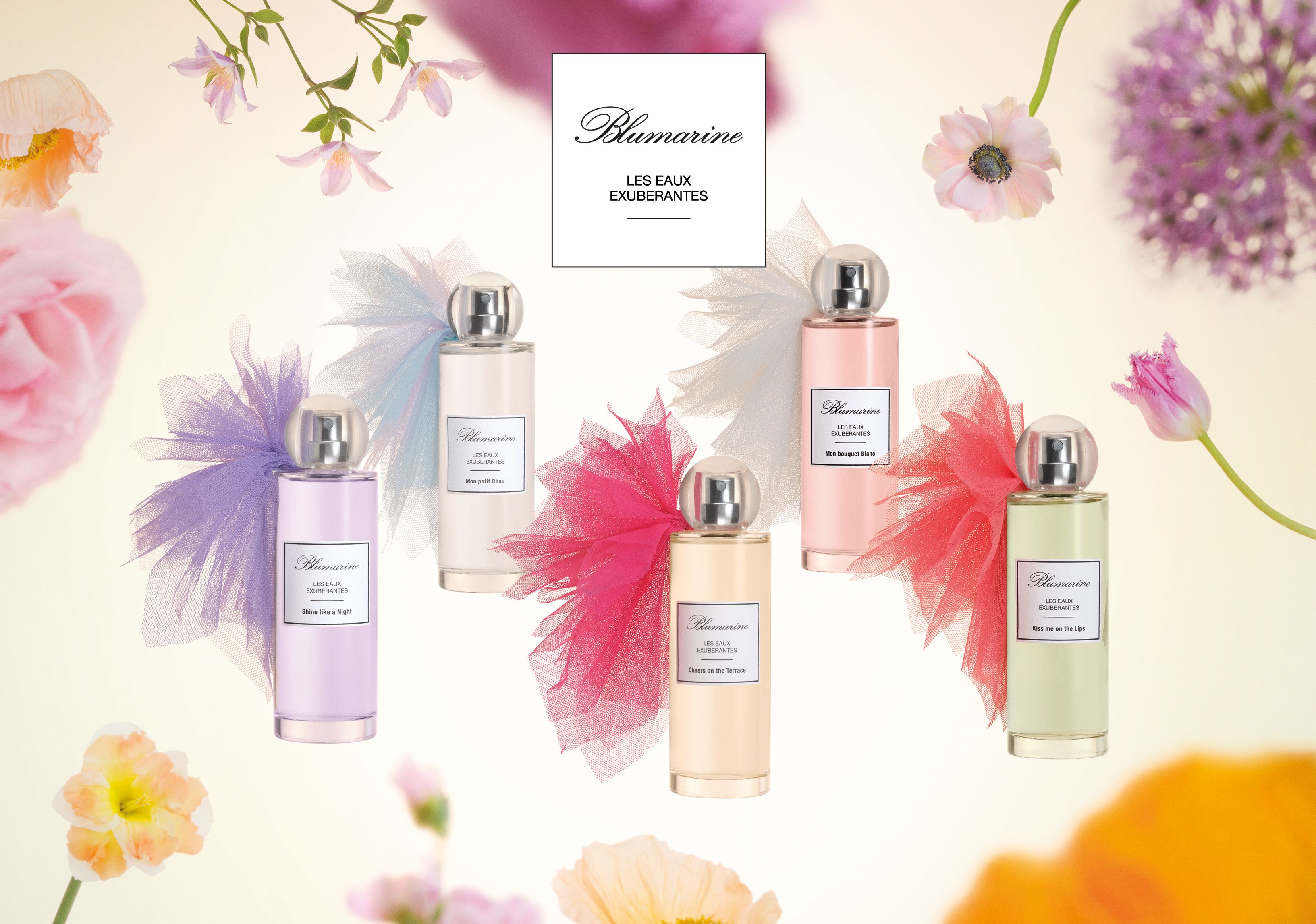 Mon Petit Chou - Blumarine - Gallery 2