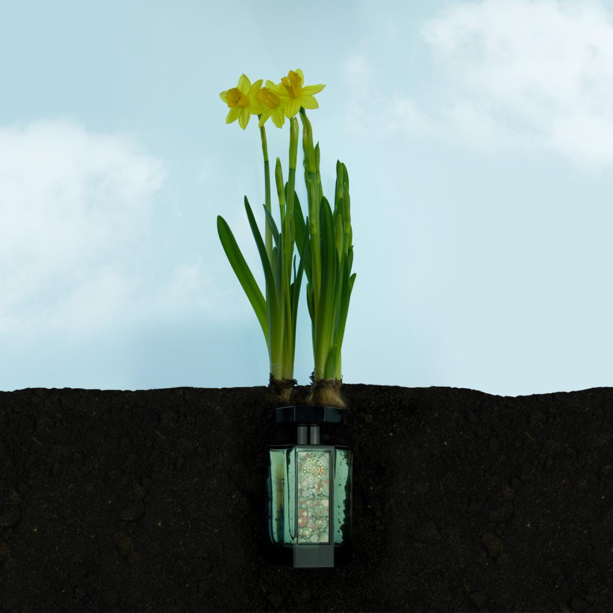 Mont de Narcisse - L'Artisan Parfumeur - Gallery 1