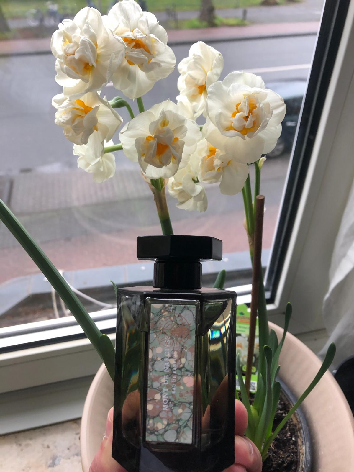 Mont de Narcisse - L'Artisan Parfumeur - Gallery 3