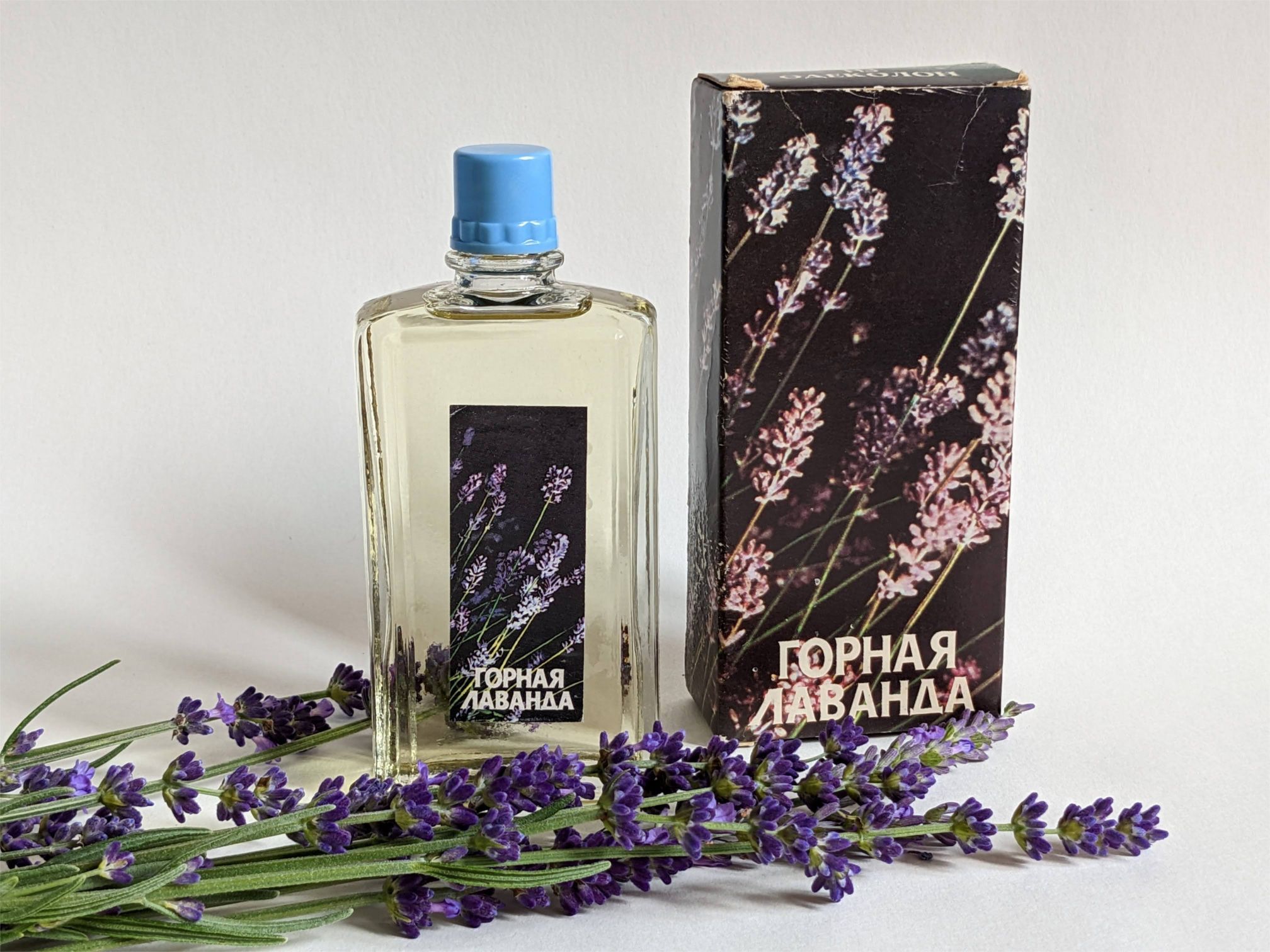 Mountain Lavender - Горная лаванда - Nouvelle Etoile – Новая Заря - Gallery 2