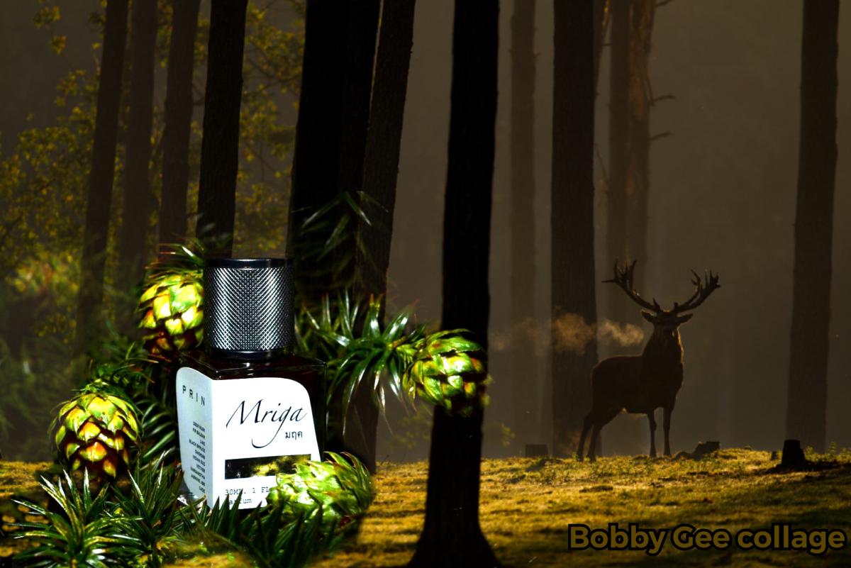 Mriga - Prin - Gallery 2
