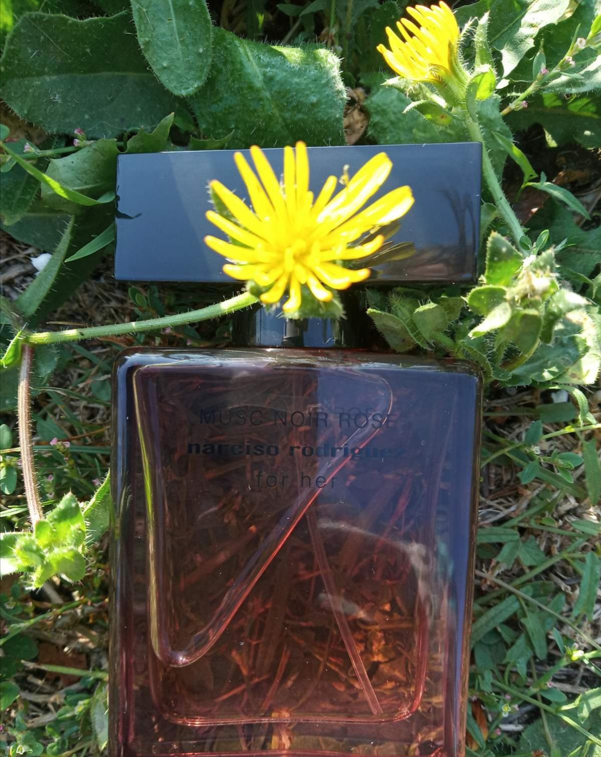 Musc Noir Rose For Her - Narciso Rodriguez - Gallery 2