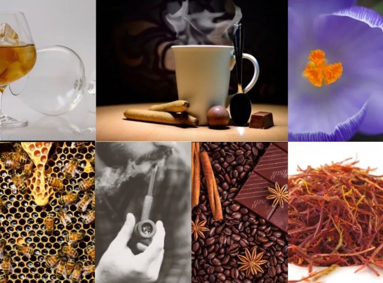 Mythique - Elixir Attar - Gallery 1