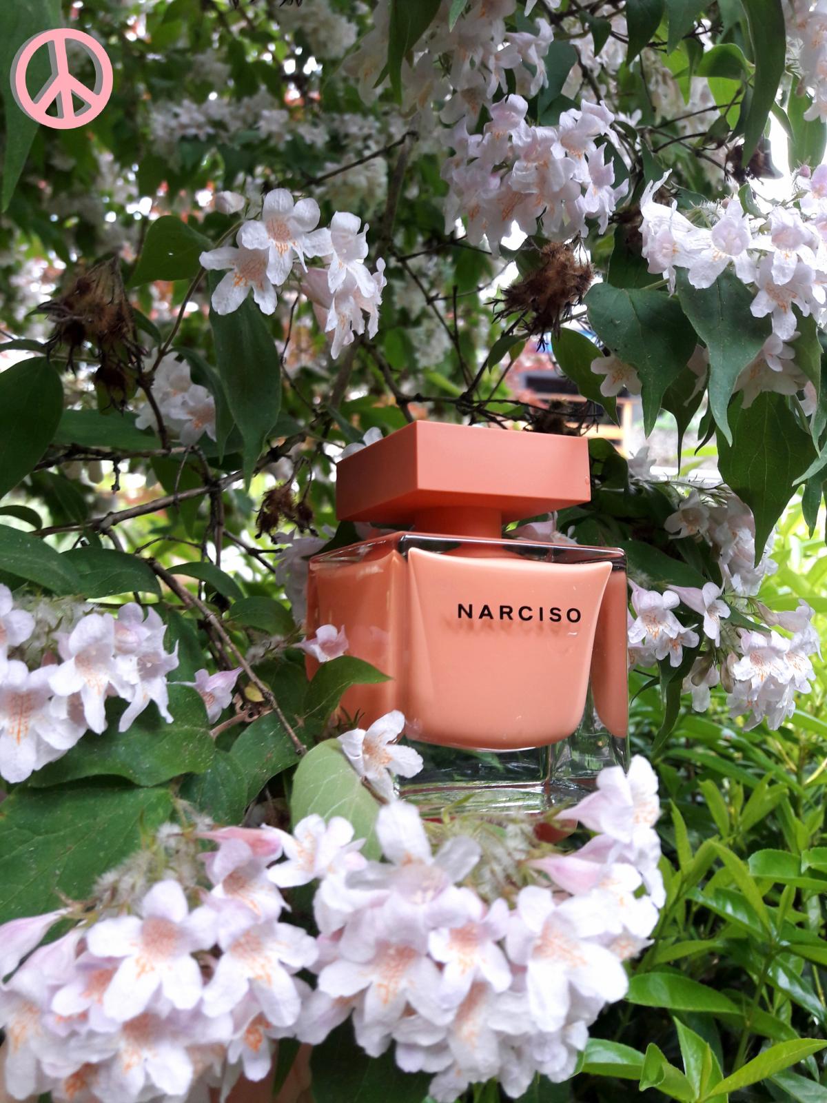 Narciso Eau de Parfum Ambrée - Narciso Rodriguez - Gallery 1
