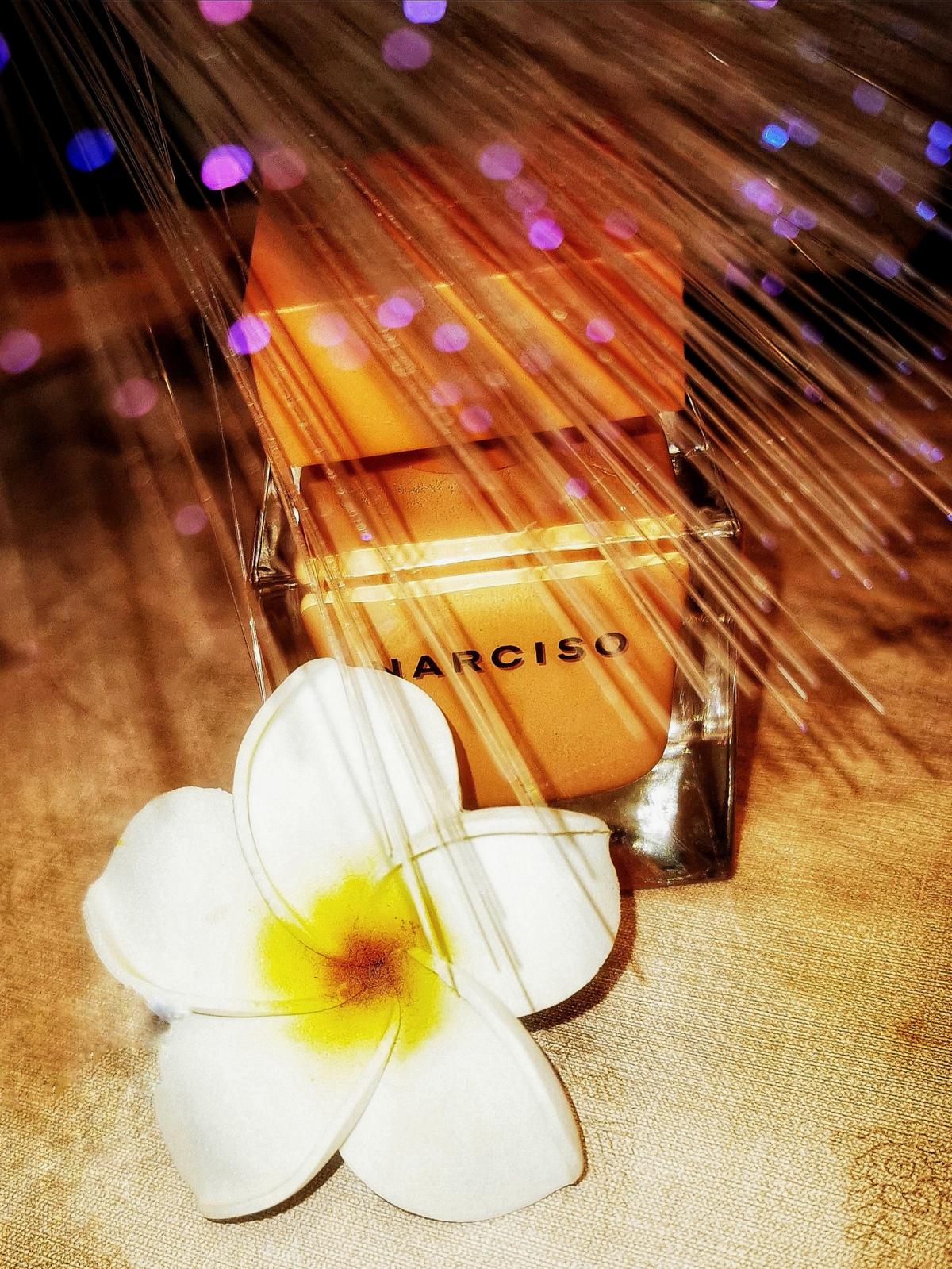 Narciso Eau de Parfum Ambrée - Narciso Rodriguez - Gallery 3