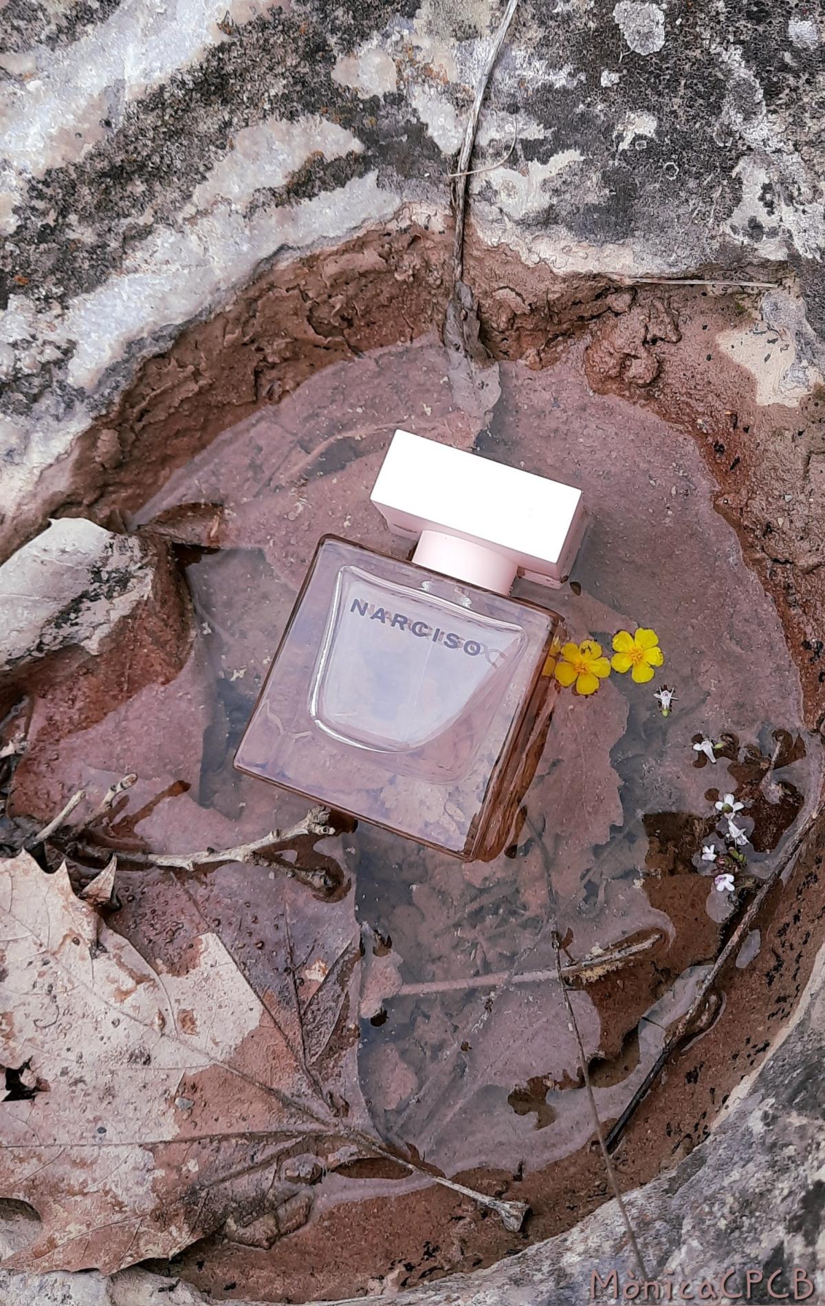 Narciso Eau de Parfum Cristal - Narciso Rodriguez - Gallery 2