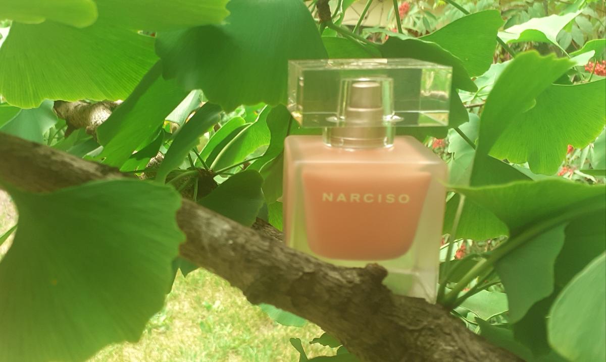 Narciso Eau Néroli Ambrée - Narciso Rodriguez - Gallery 3