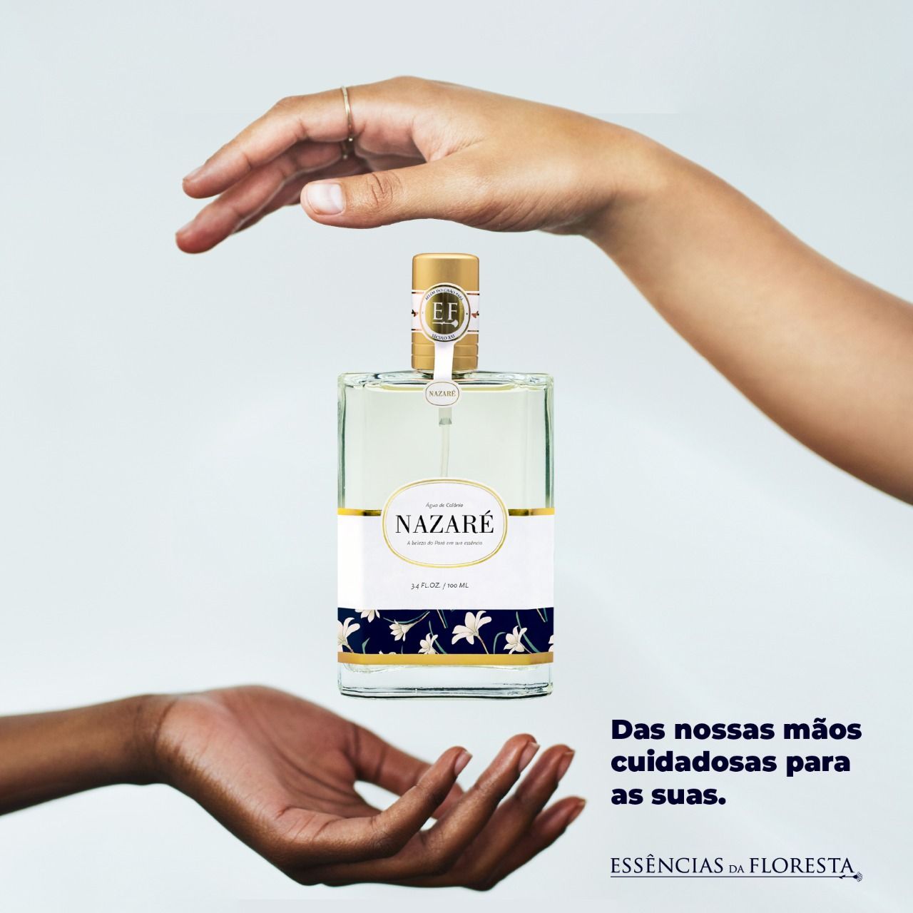 Nazaré - Essências da Floresta - Gallery 1