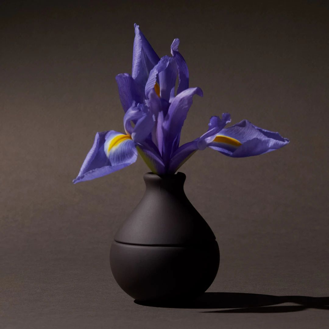 Night Iris - KKW Fragrance - Gallery 3