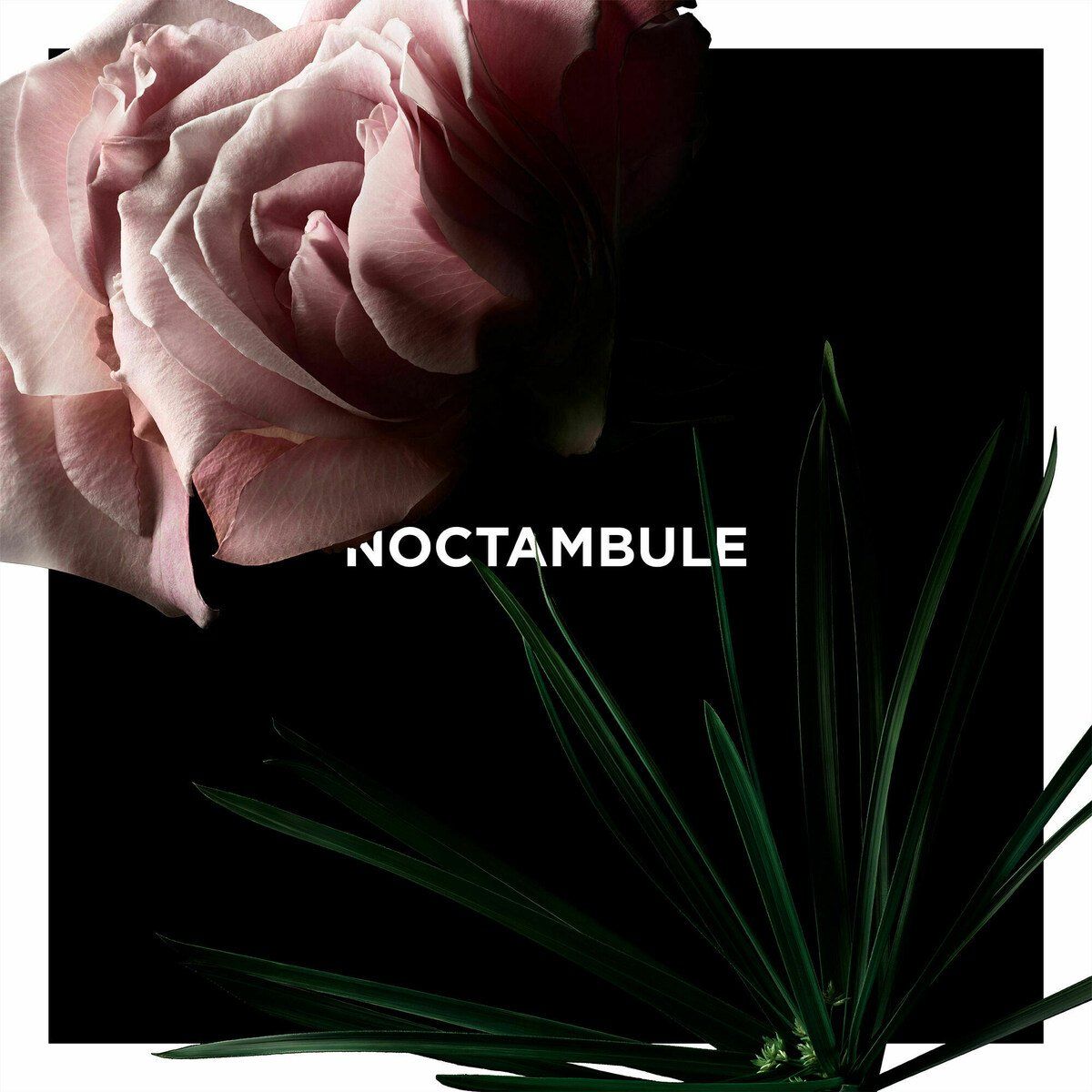Noctambule - Givenchy - Gallery 3