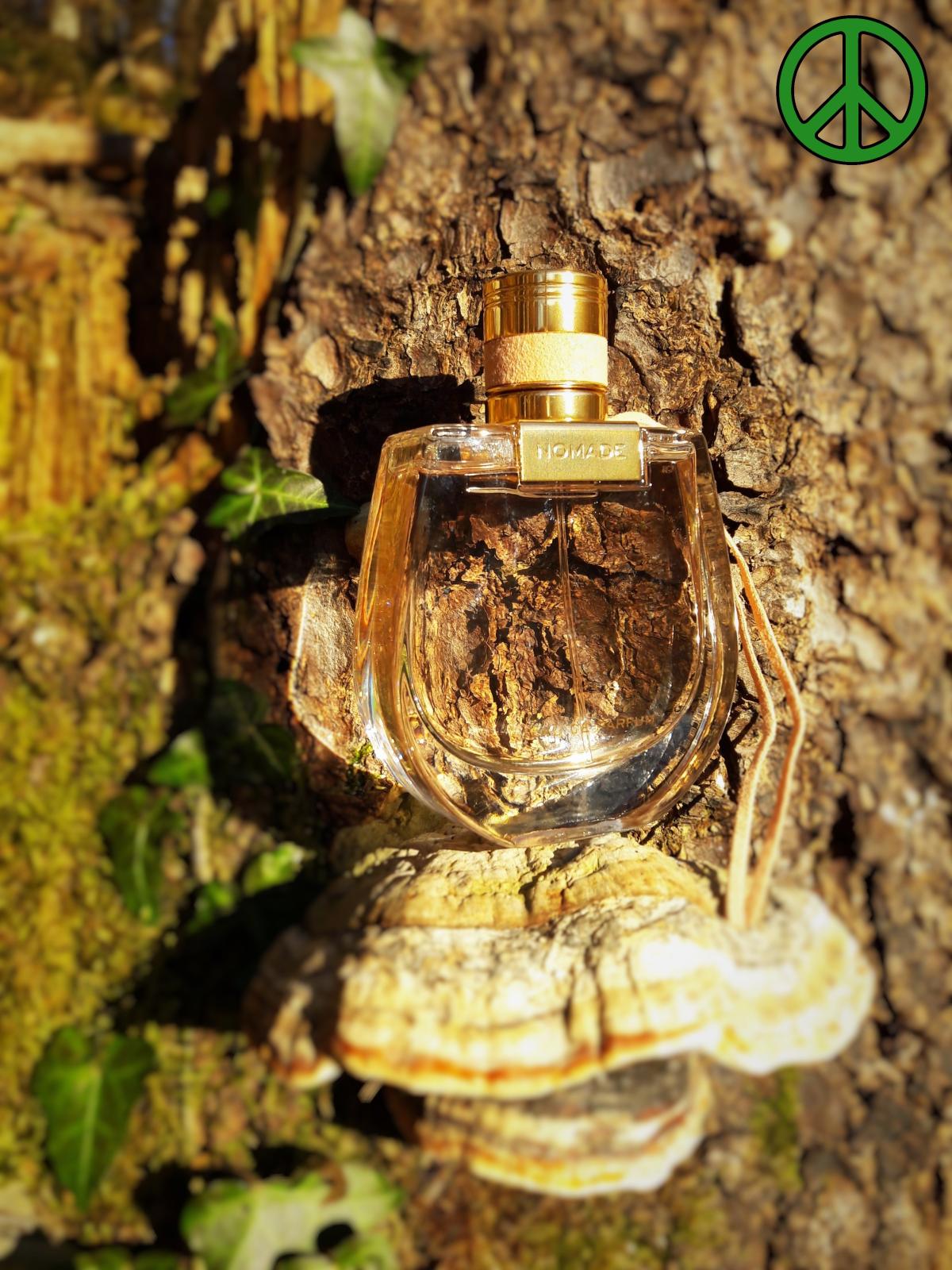 Nomade Absolu de Parfum - Chloé - Gallery 2