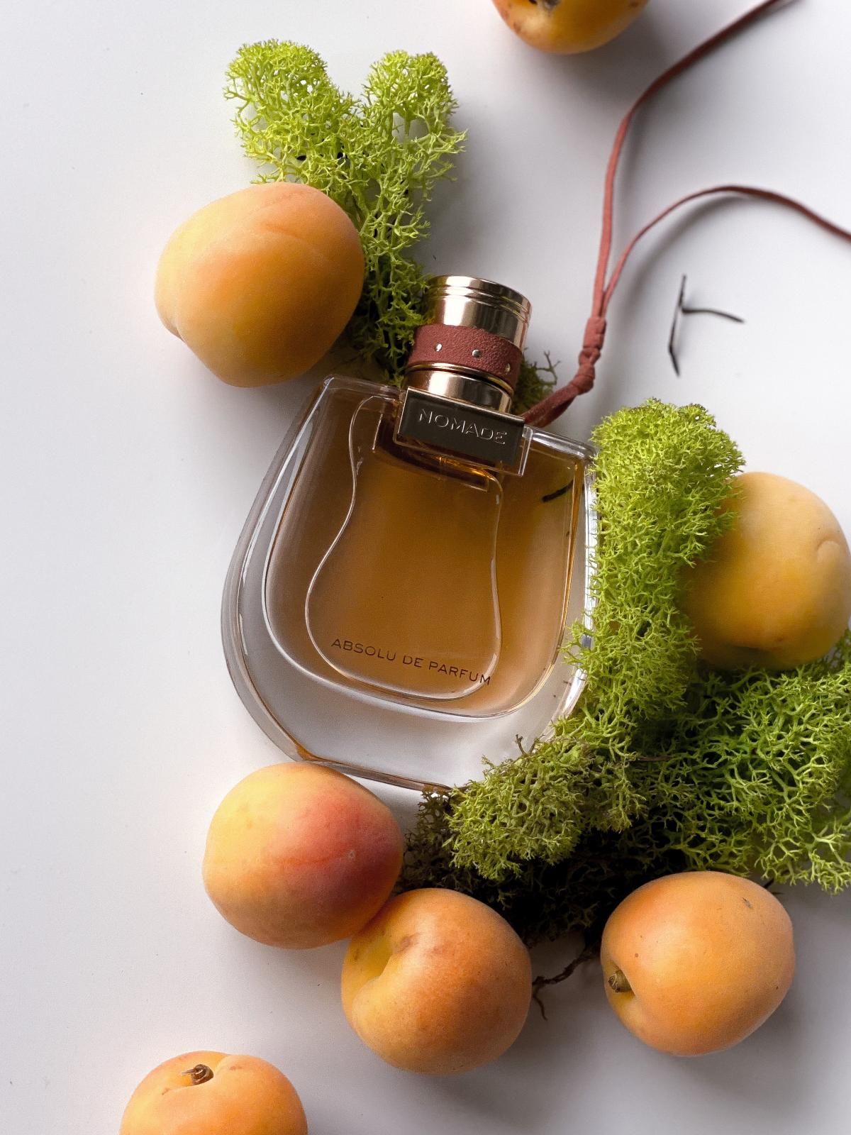 Nomade Absolu de Parfum - Chloé - Gallery 3