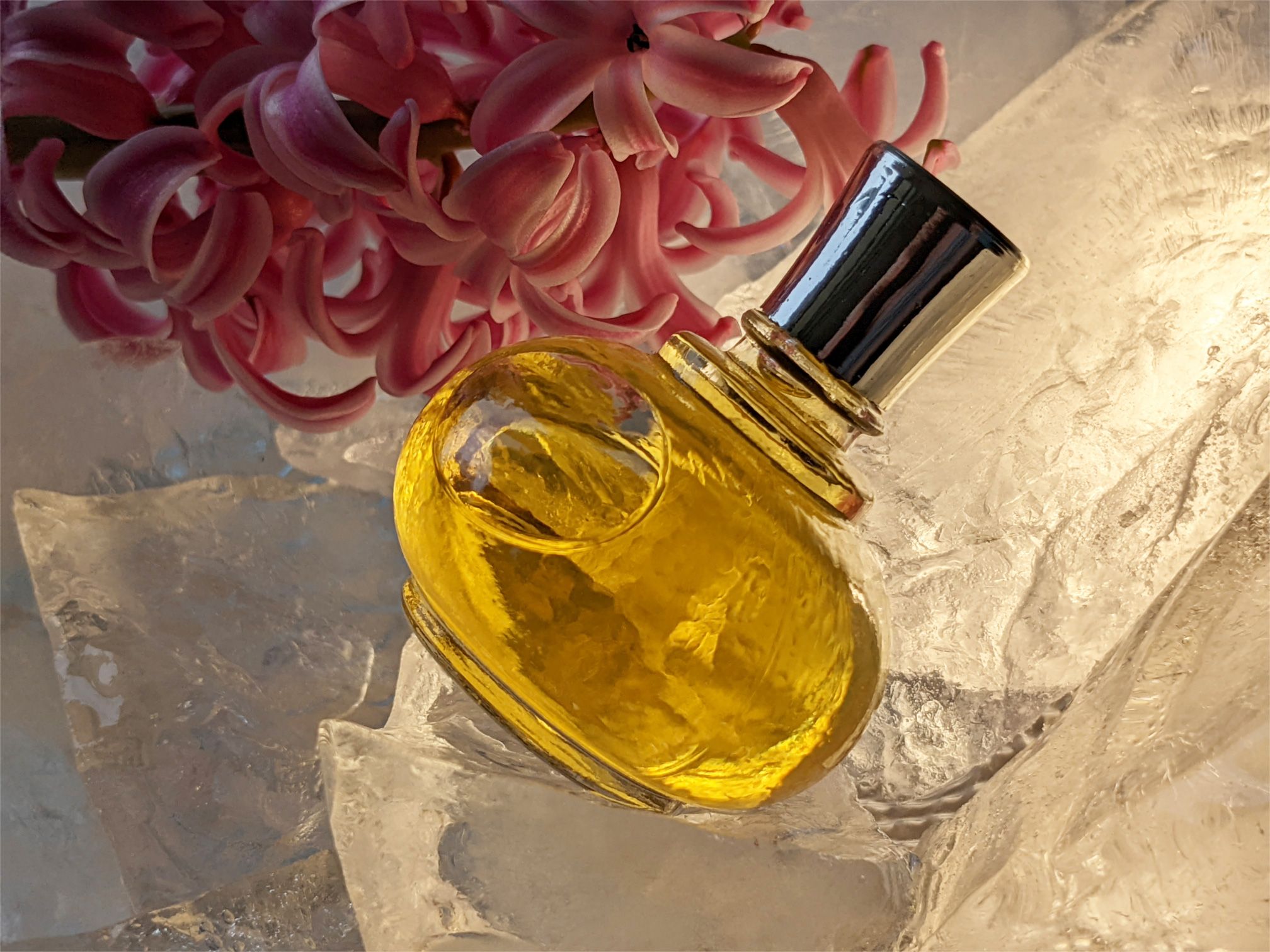 Novogodny vecher - Новогодний вечер - Nouvelle Etoile – Новая Заря - Gallery 3