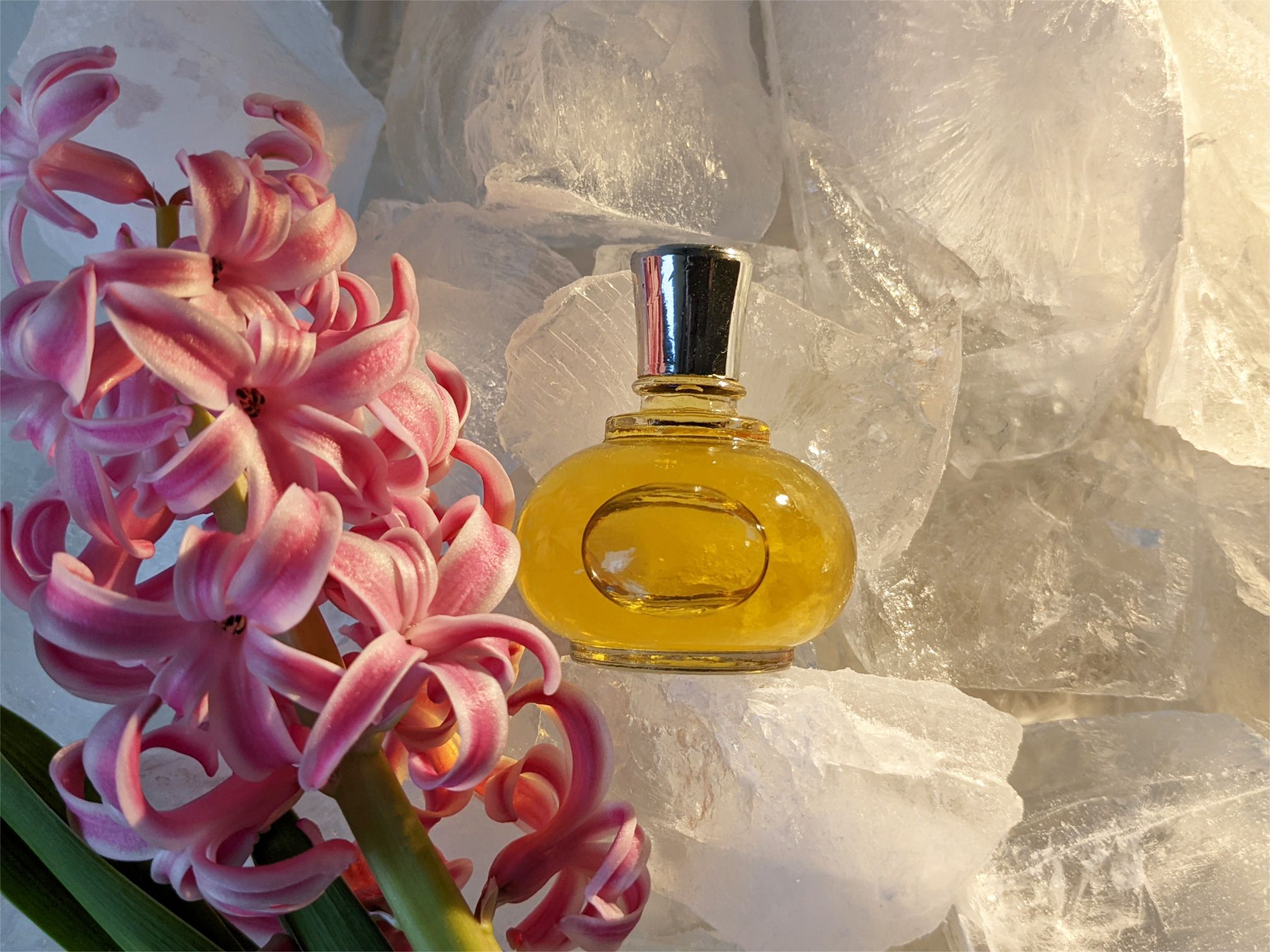 Novogodny vecher - Новогодний вечер - Nouvelle Etoile – Новая Заря - Gallery 4