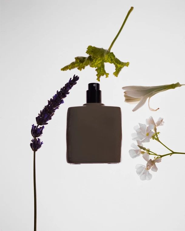 Nude Suede - KKW Fragrance - Gallery 2