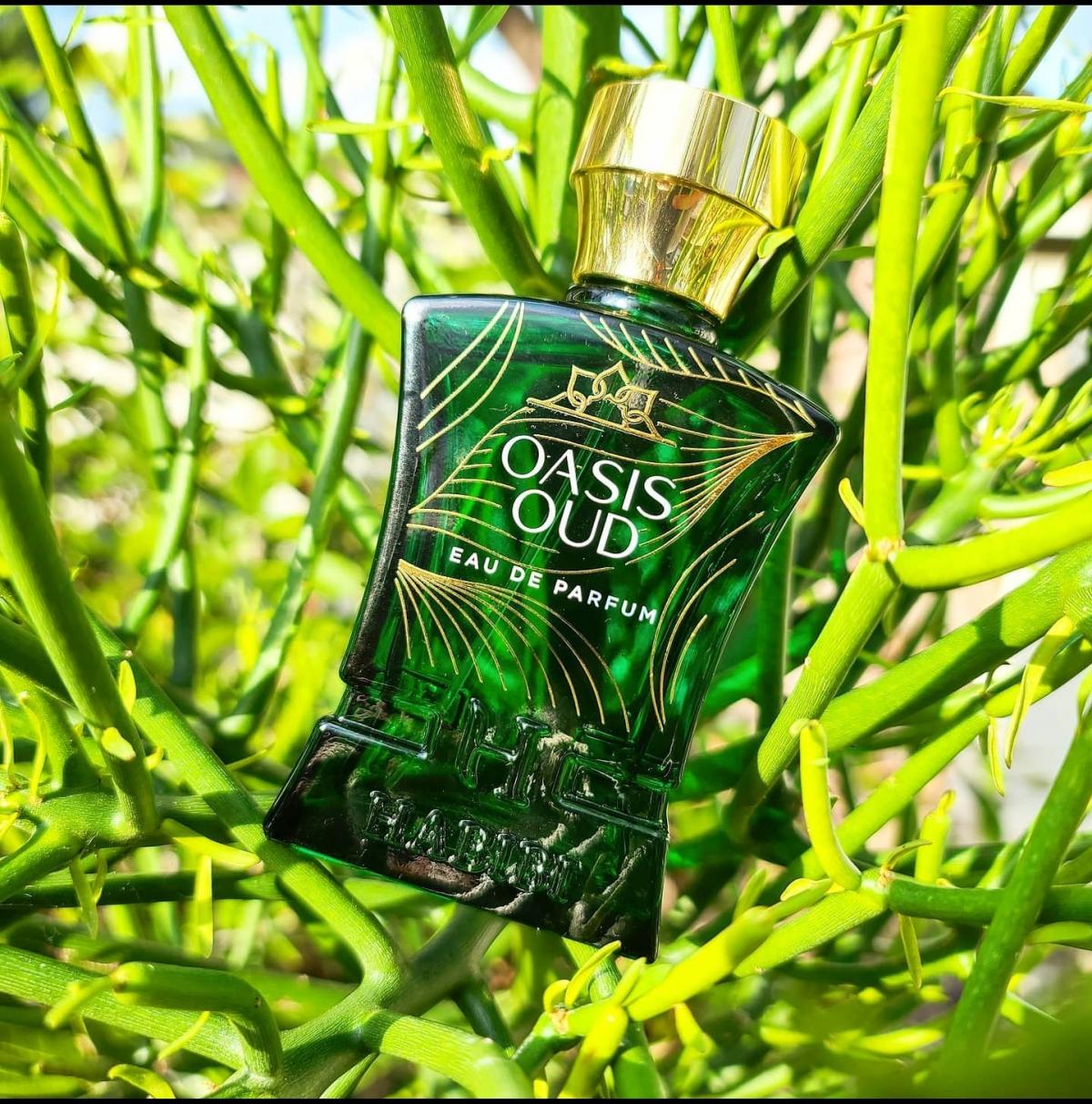 Oasis Oud - Habibi NY - Gallery 1