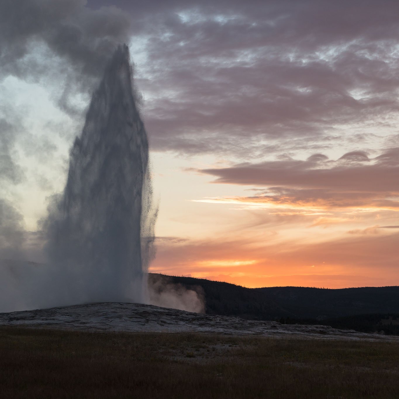 Old Faithful Fragrance Tonic - Caswell Massey - Gallery 3