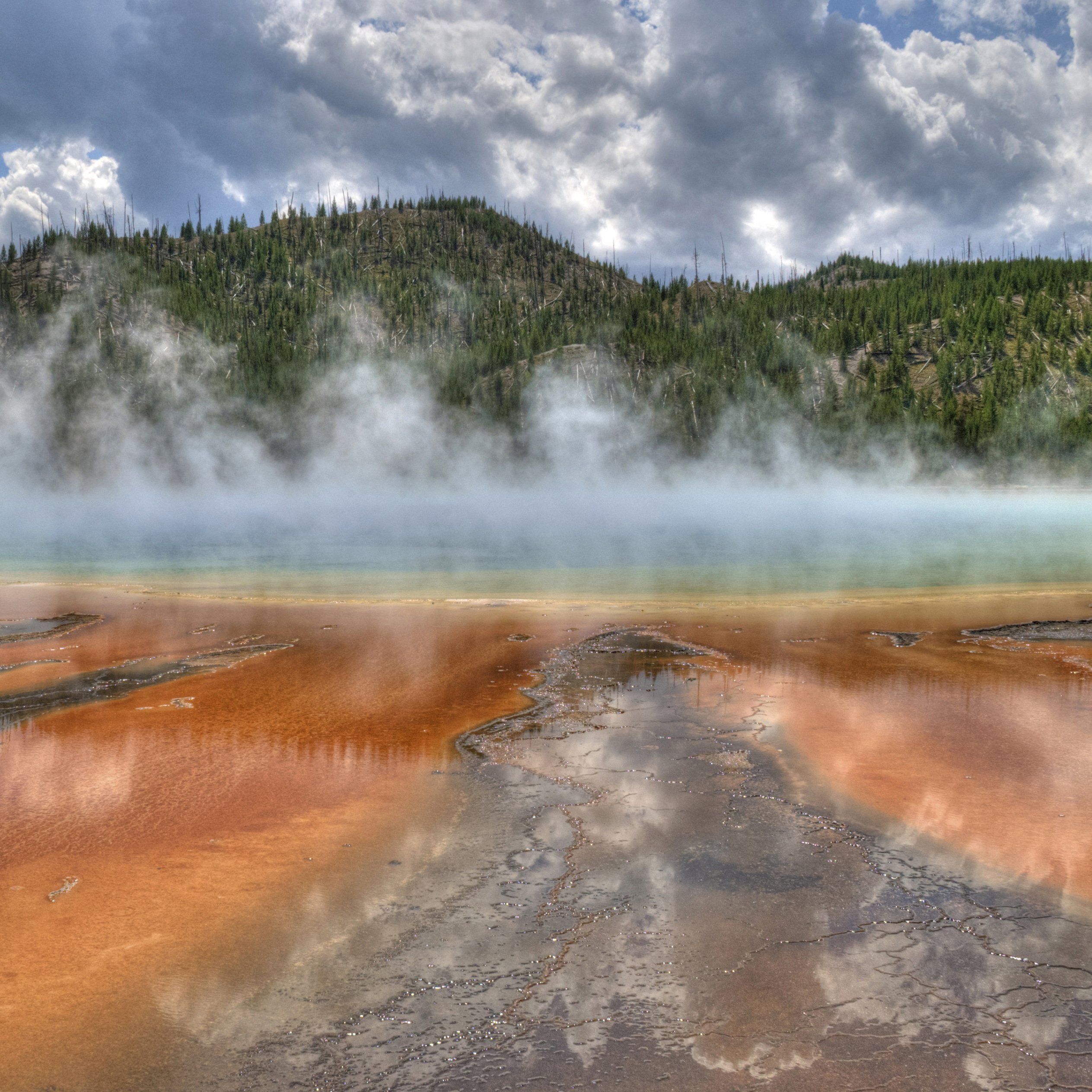 Old Faithful Fragrance Tonic - Caswell Massey - Gallery 4