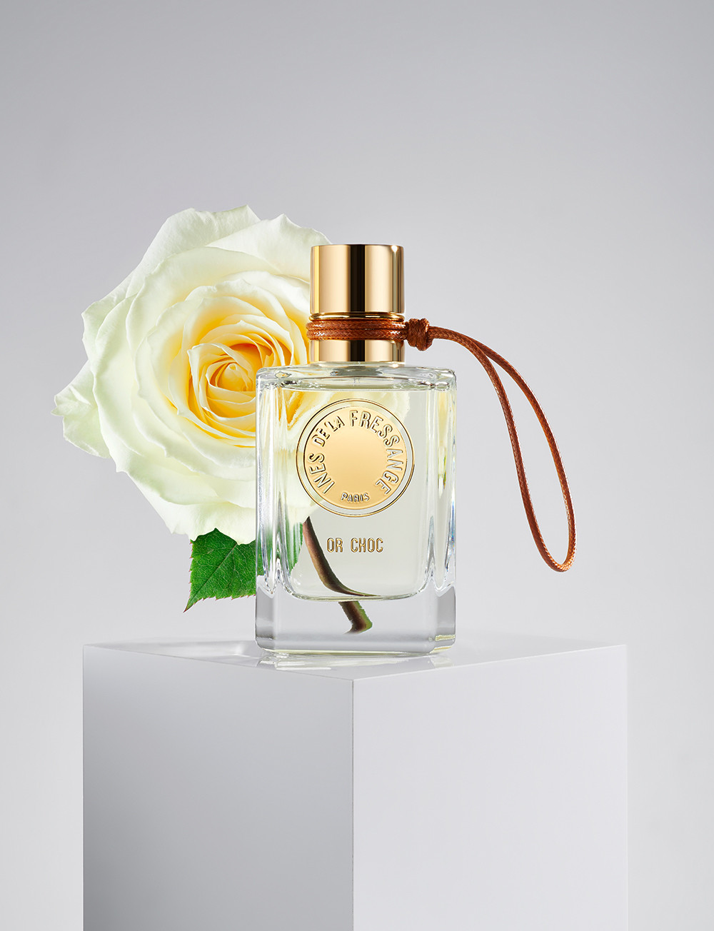 Or Choc - Ines de la Fressange - Gallery 4