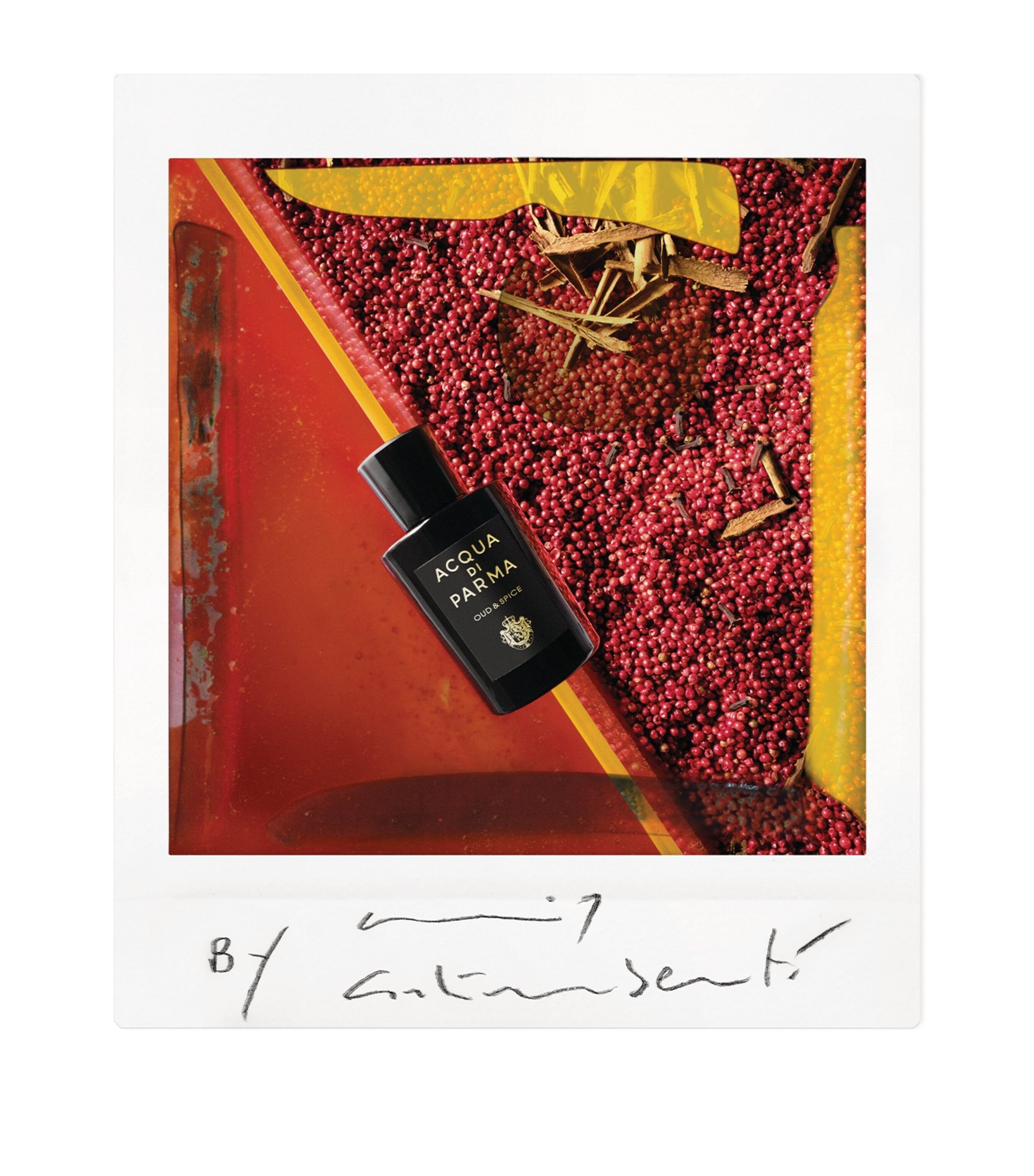 Oud & Spice - Acqua di Parma - Gallery 2