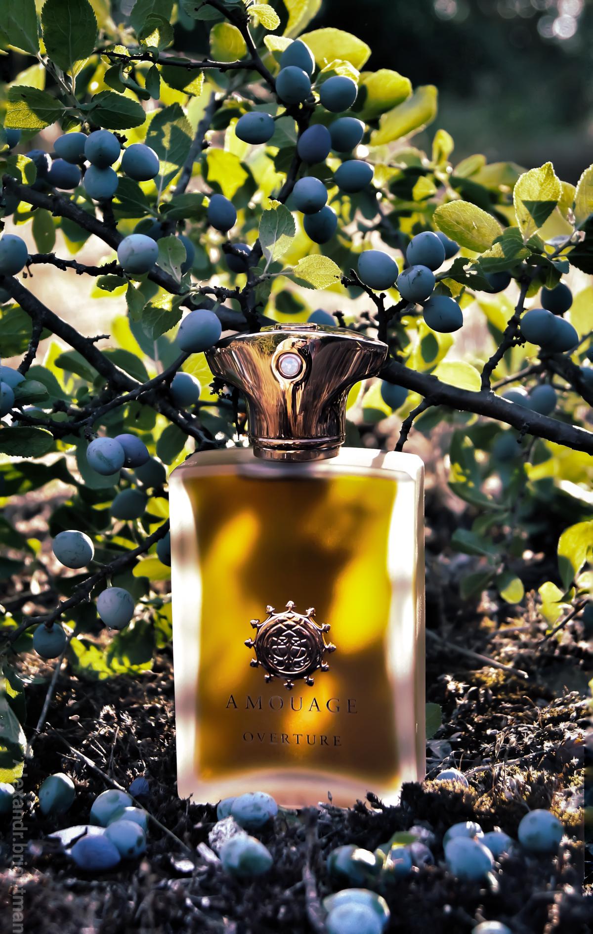 Overture Man - Amouage - Gallery 1