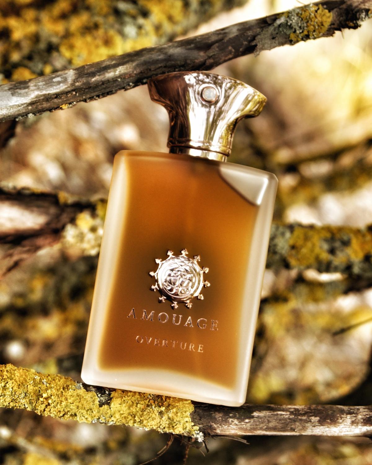 Overture Man - Amouage - Gallery 2