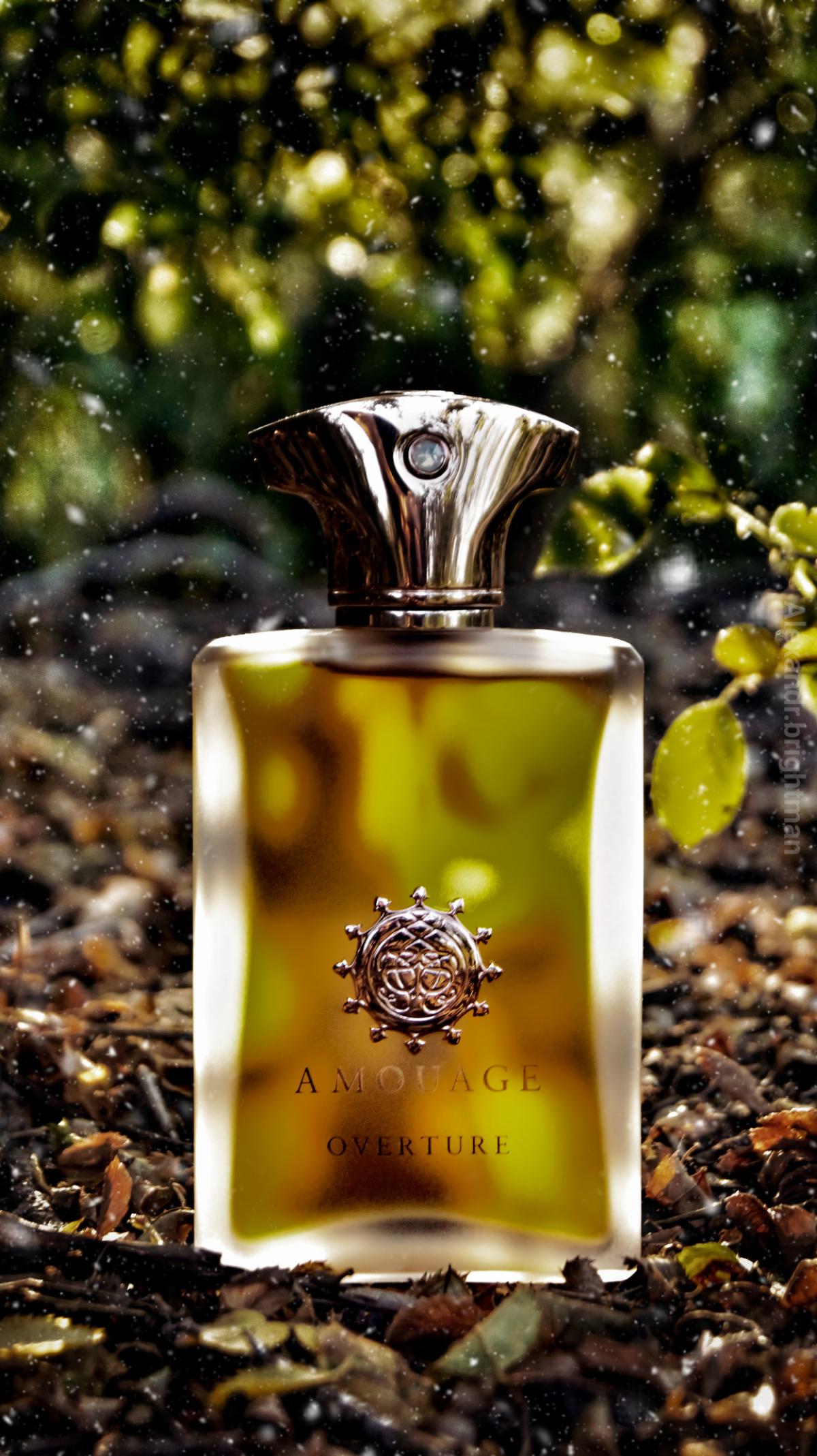 Overture Man - Amouage - Gallery 3