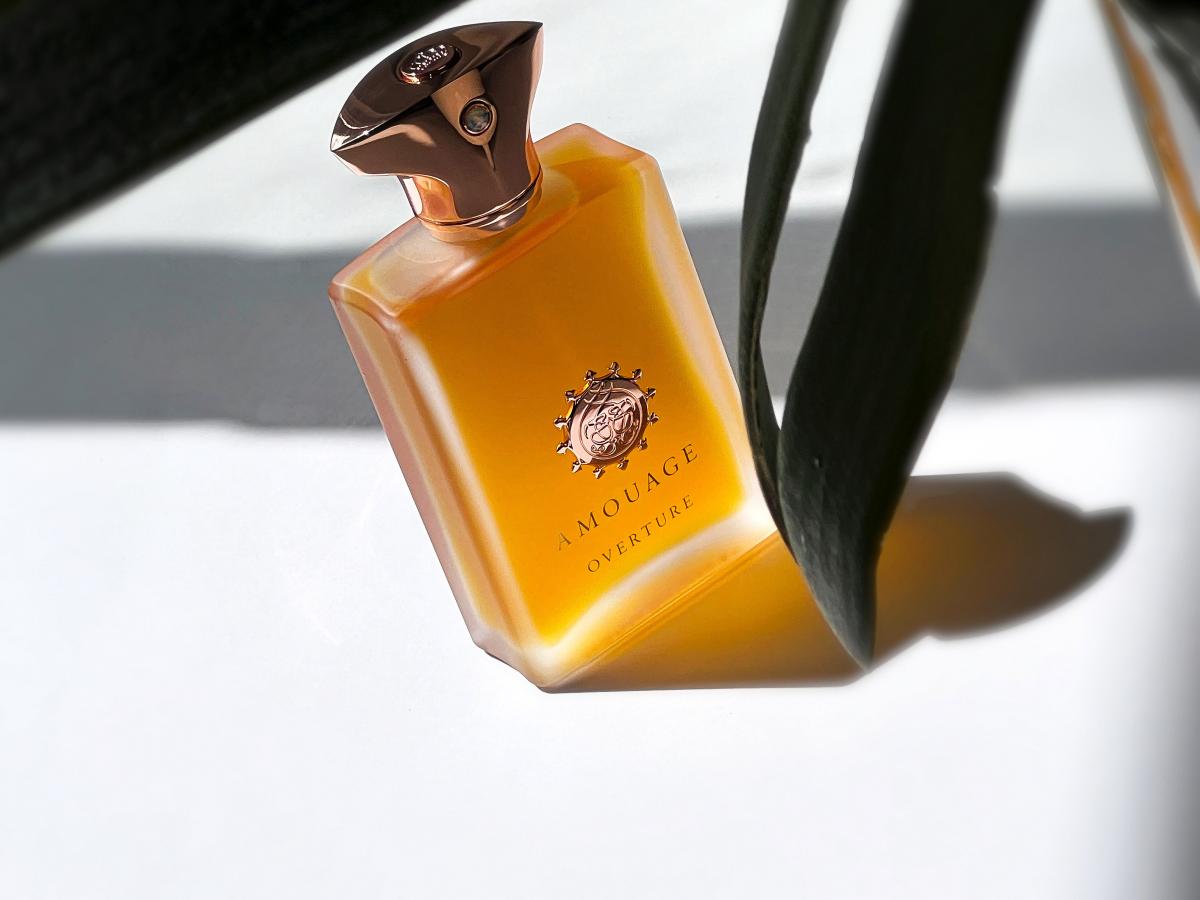Overture Man - Amouage - Gallery 4