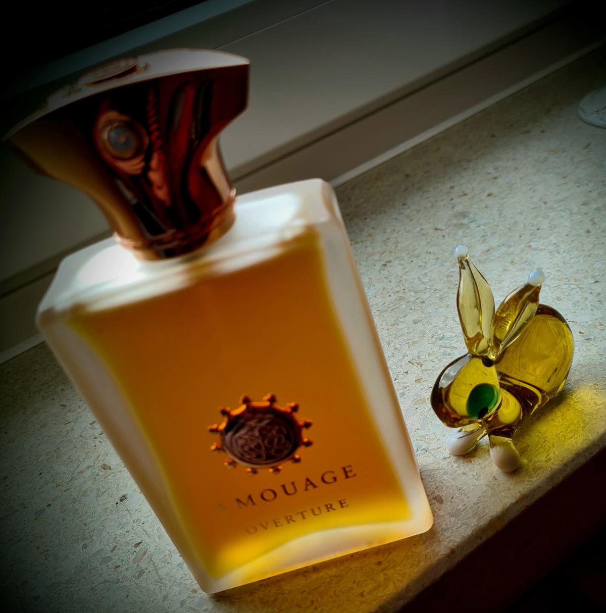 Overture Man - Amouage - Gallery 1